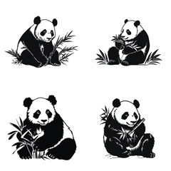 set of panda © Muhammad