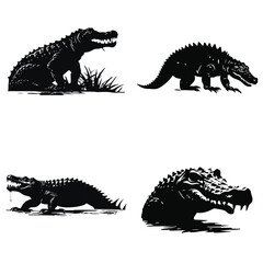 crocodile in front of black