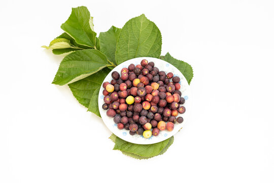 Top view closeup of a ripe grewia asiatica falsa fruit on white isolated background