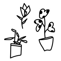 illustration flowers and houseplants set, black outline flowers
