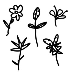 illustration flowers, black outline flowers set