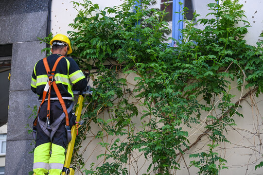 travailleur echelle securit&eacute; casque harnais hauteur