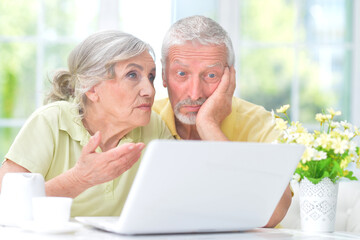 confused old couple with laptop at home