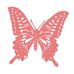 Butterfly illustration