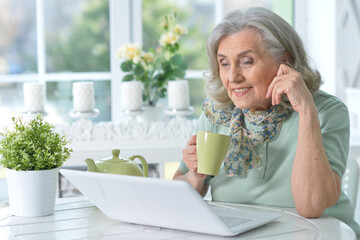 Portrait of beautiful senior woman sitting at table with laptop