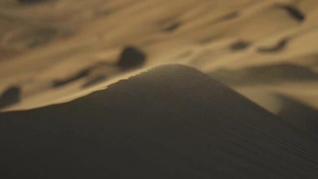Sand dunes golden hour sand and wind 