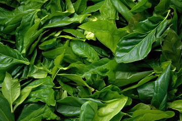 Fototapeta premium Fermentation of green tea leaves seamless background.Created with Generative AI technology. 