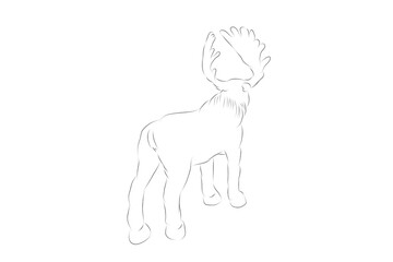simple vector hand draw sketch moose or big deer, isolated on white
