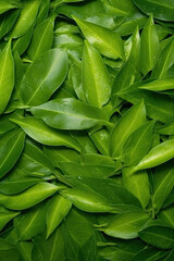 Fototapeta premium Green leaves seamless background. Created with Generative AI technology. 