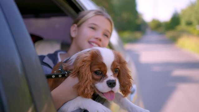 Dog and girl sticking heads out car window. Happy girl in car window with small dog. Have a happy family trip. Cute little child kid girl smiles at wind in car window. Family summer trip travel. 