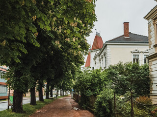 Fototapeta na wymiar Quiet green street of a small Austrian town. Alley of flowering chestnut trees on a city street