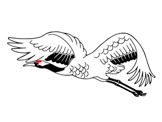 飛んでいるの鶴（タンチョウ）の線画イラスト
