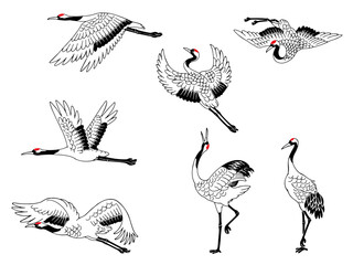 日本の鶴（タンチョウ）の線画イラストセット
