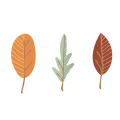 Simple Autumn leaves. Hand drawn elements for autumn decorative design, halloween invitation, harvest or thanksgiving. Vector illustration