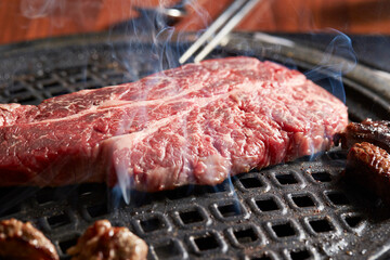 grilled meat on the grill