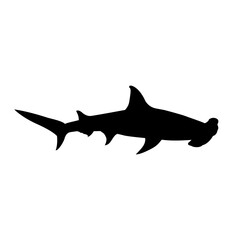 Shark icon vector. sea ​​life illustration sign. fish symbol or logo.