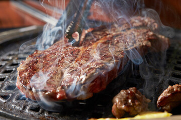 grilled meat on the grill	
