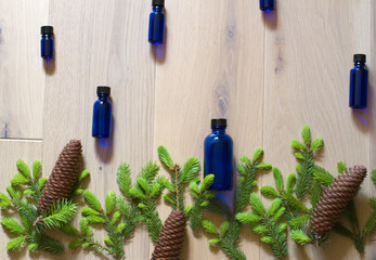 background of spruce cones, leaves and buds for essential oils - 617680544