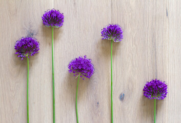 natural composition with chives flowers and stems in aesthetic rhythm - 617680548