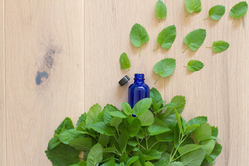 fresh leaves evaporating for beautiful garden story and essential oils - 617680551