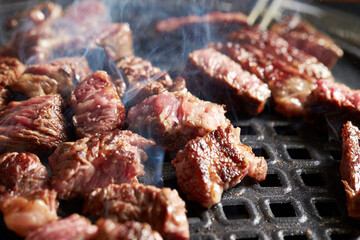 grilled meat on the grill