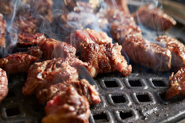 grilled meat on the grill	