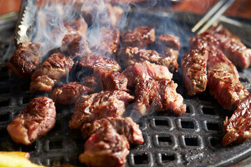 grilled meat on the grill
