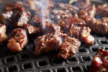 grilled meat on the grill	