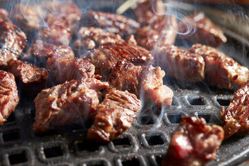 grilled meat on the grill