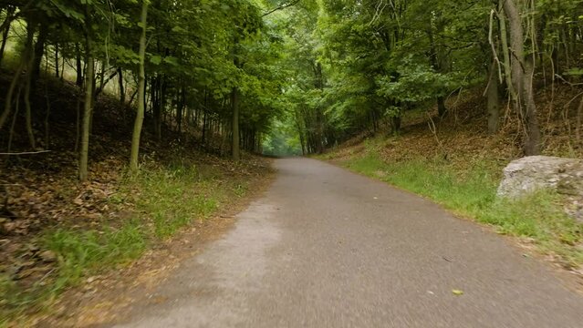 Moving forward along a jogging path in a misty forest.