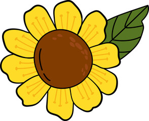 Sunflower on a white isolated background. Cartoon style.