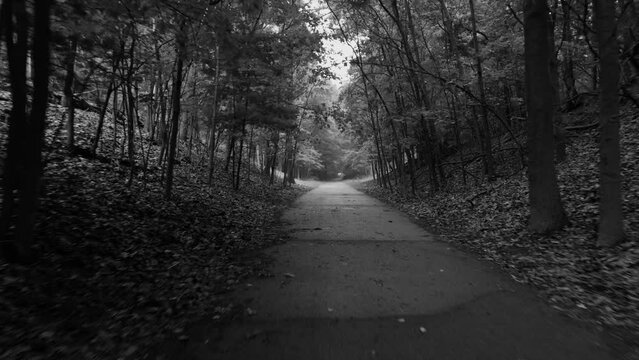 A mist covered path in black and white.