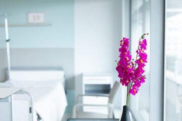 Close up of pink flowers in vase over bed in hospital room, copy space