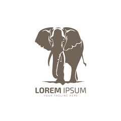 Obraz premium Elephant logo icon Elephant silhouette Elephant isolated vector illustration design template.