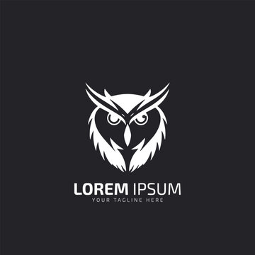 Aggressive Owl logo icon design, night hunter logo, bird logo.isolated on dark background.