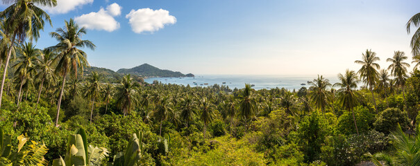 Wide tropical panorama of paradise scenery seascape and green palm trees jungle on Koh Tao island. High-angle view exotic idyllic landscape of jungle and sea