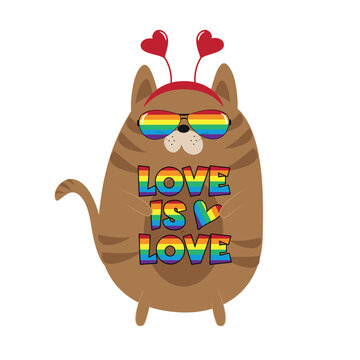 Love is Love - LGBT pride slogan against homosexual discrimination. Cute cat in rainbow colored sunglasses. Good for T shirt print, poster, banner, card, label and other decoartion.