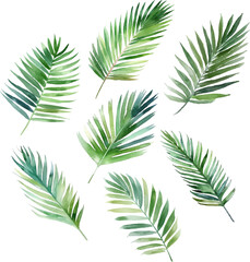 Set Watercolor vector pine tree illustration, isolated white background, flower clipart, for bouquets, wreaths, arrangements, wedding invitations, anniversary, birthday, postcards, greetings