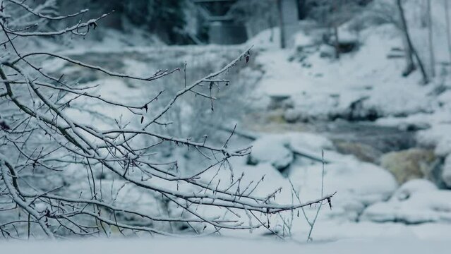 Close-up view of leafless tree branches with a background of a streaming river between snowy fields