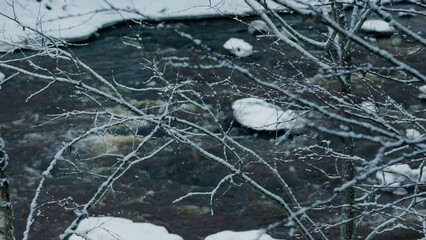 Close-up view of leafless tree branches with a background of snowy rocks in a streaming river