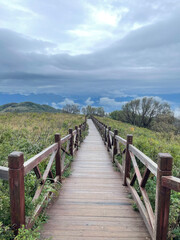 wooden bridge in the mountains