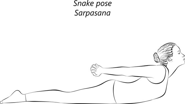 Page 3 | Snake Pose Images - Free Download on Freepik