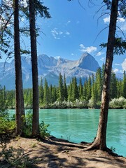 Vertical shot of a beautiful lake landscape with mountains and green trees in the background