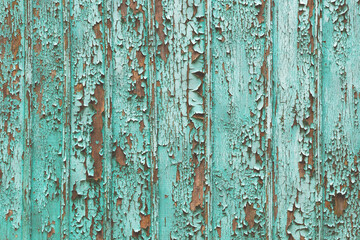 Background formed by a wall of wooden boards on which the remnants of old green paint. Peeled green paint on a wooden surface as a background, texture, pattern.