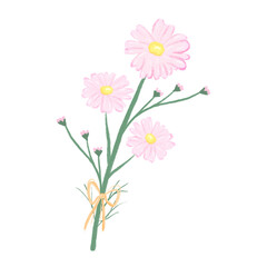 Pink cosmos pastel bouquet colors minimal flowers hand drawn