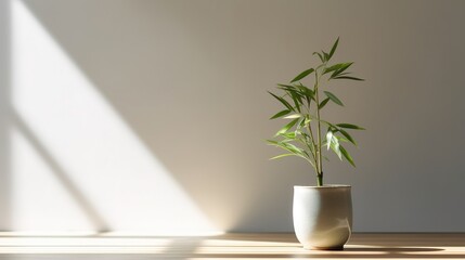 simple minimalist Bamboo product placement concept zen idea copy space generative ai
