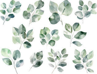 Set Watercolor vector pine tree illustration, isolated white background, flower clipart, for bouquets, wreaths, arrangements, wedding invitations, anniversary, birthday, postcards, greetings