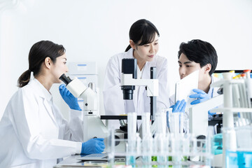 Scientists discussing progress in the laboratory	
