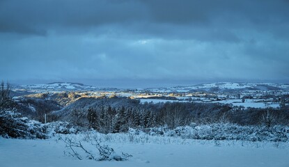 Tranquil winter landscape featuring a snow-covered field with trees and distant mountains