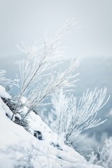Scenic view of tree branches covered with snow in a forest in winter